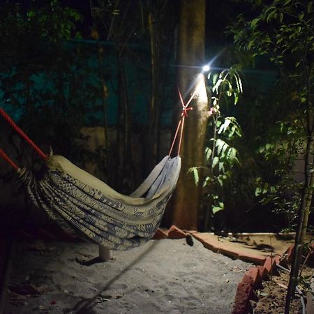 Roots Hostelニューデリー エクステリア 写真